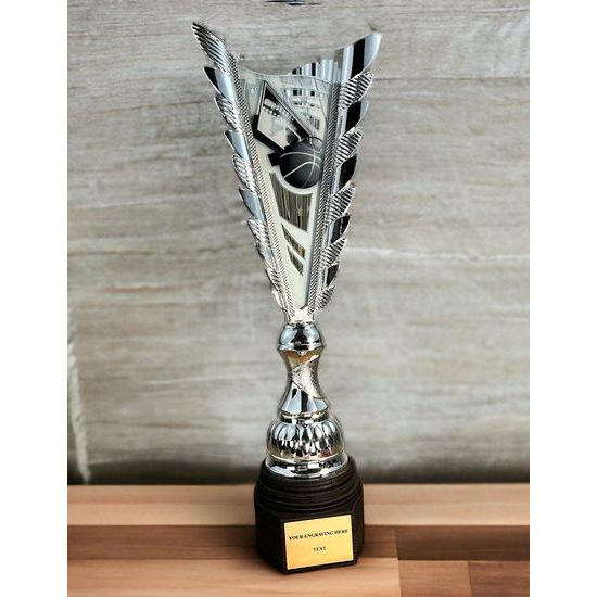 Chester Basketball Silver Trophy
