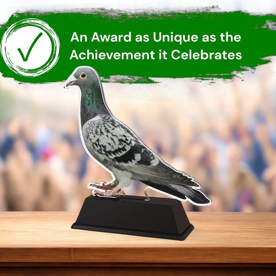 Ostrava Pigeon Trophy