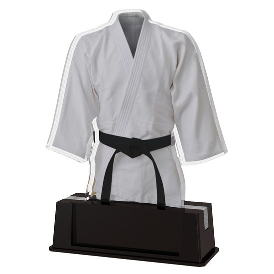 Turin Martial Arts Trophy