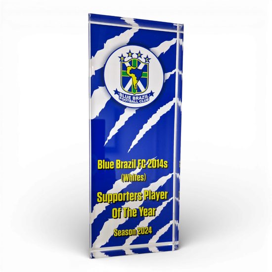 Custom Printed Block Acrylic Award