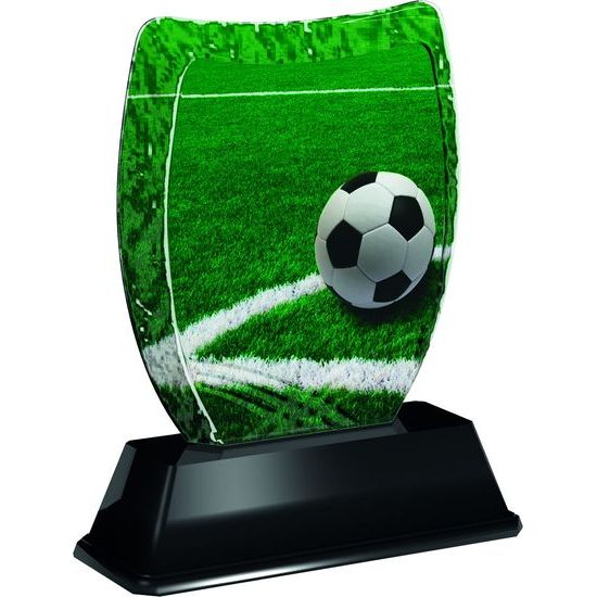 Iceberg Football Pitch Trophy