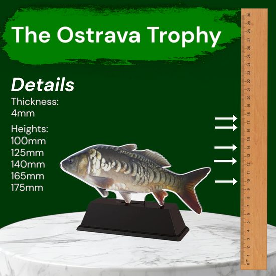 Ostrava Bream Fish Trophy