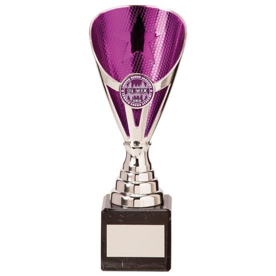 Rising Stars Silver and Purple Contemporary Cup