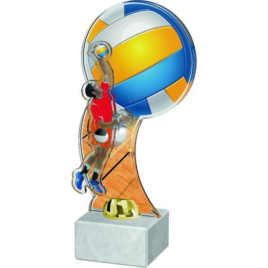 Vienna Volleyball Male Player Trophy