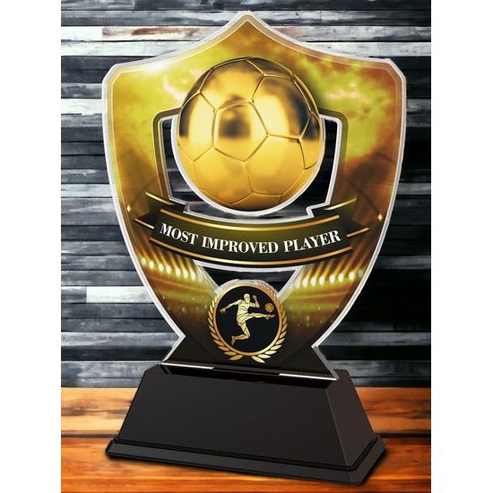 Club Colours Most Improved Player Shield Trophy