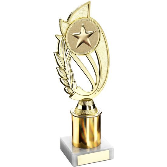 Gold Star Logo Insert Trophy