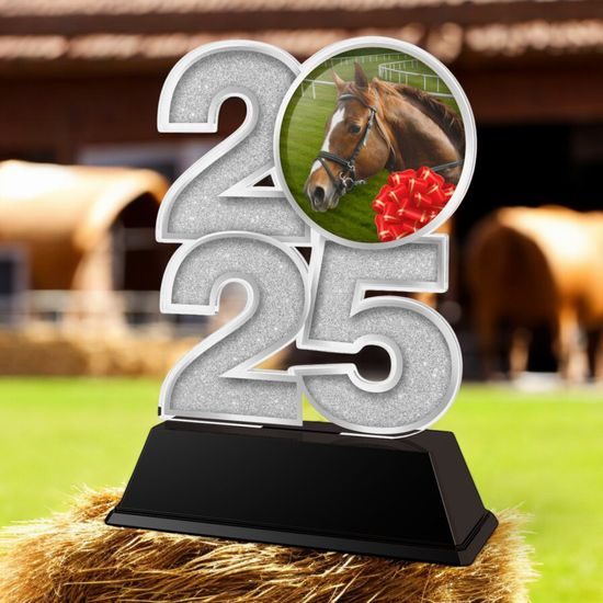 Equestrian Horse Riding 2025 Trophy
