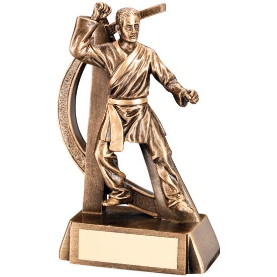 Martial Arts Resin Trophy