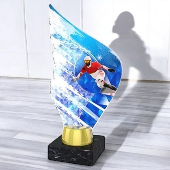 Foxton Snowboarding Trophy
