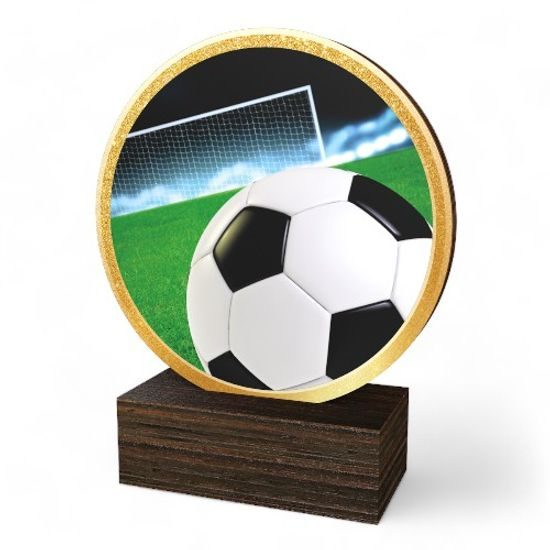 Holt Colour Football Real Wood Trophy