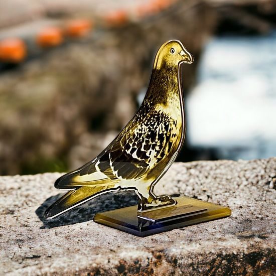 Cannes Classic Pigeon Trophy
