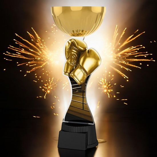 Vancouver Classic Boxing Gloves Gold Cup Trophy