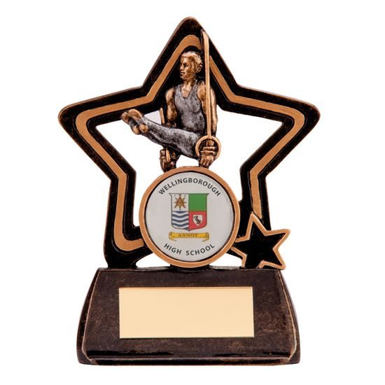 Little Star Male Gymnastics Trophy