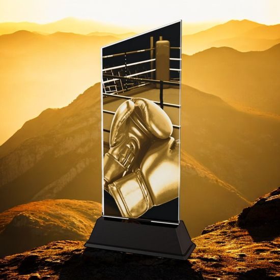 Peak Boxing Trophy