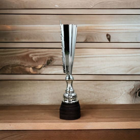 Chester Fishing Silver Trophy