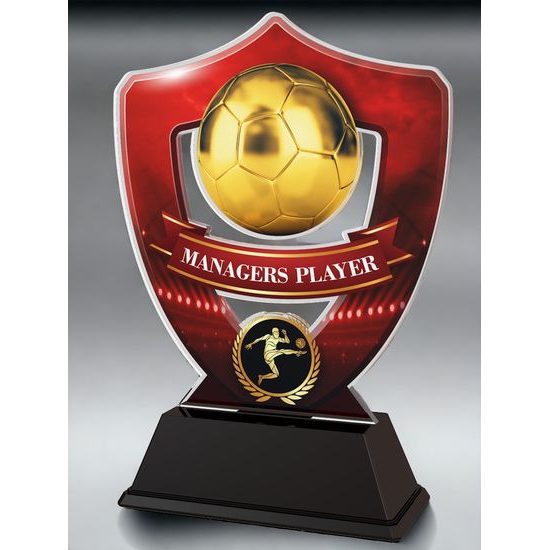 Club Colours Managers Player Shield Trophy