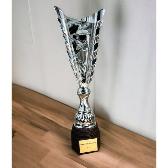 Chester Paintball Silver Trophy