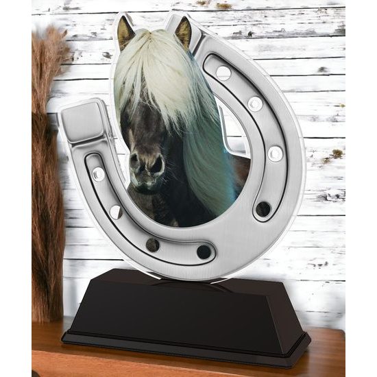 Ostrava Silver Horse Shoe Trophy