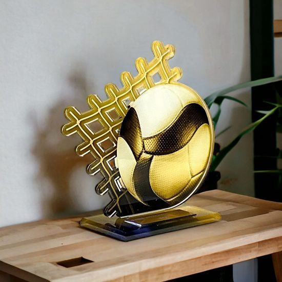 Cannes Classic Volleyball Trophy