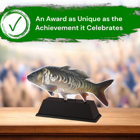 Ostrava Bream Fish Trophy