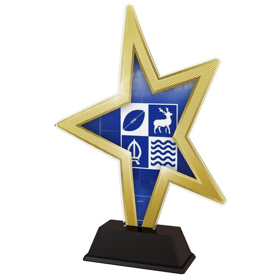 Custom Logo Acrylic Gold Star Trophy