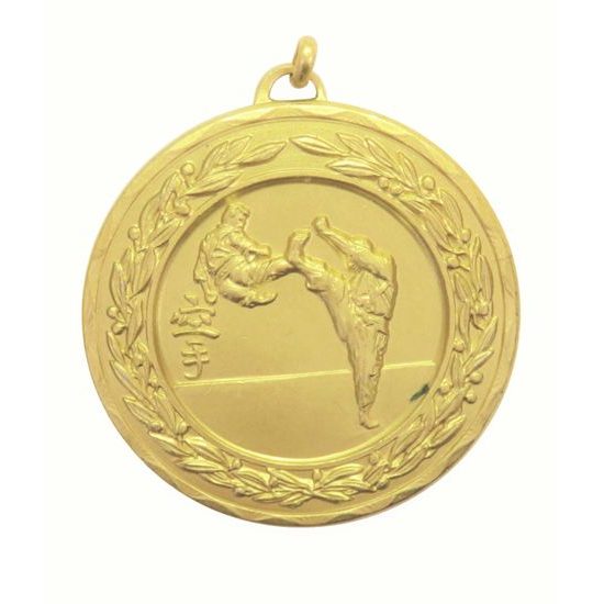 Laurel Karate Gold Medal