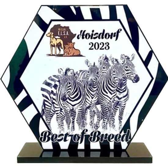 Hex Custom Made Acrylic Award