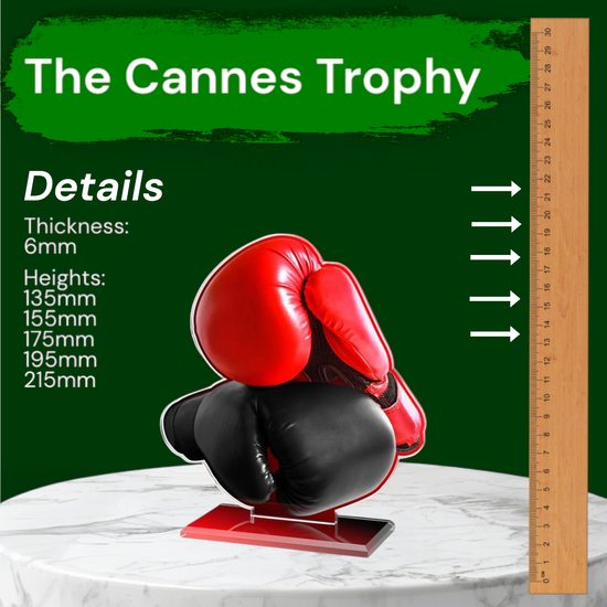 Cannes Boxing Trophy