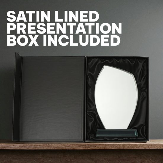 Zenith Engraved Glass Award