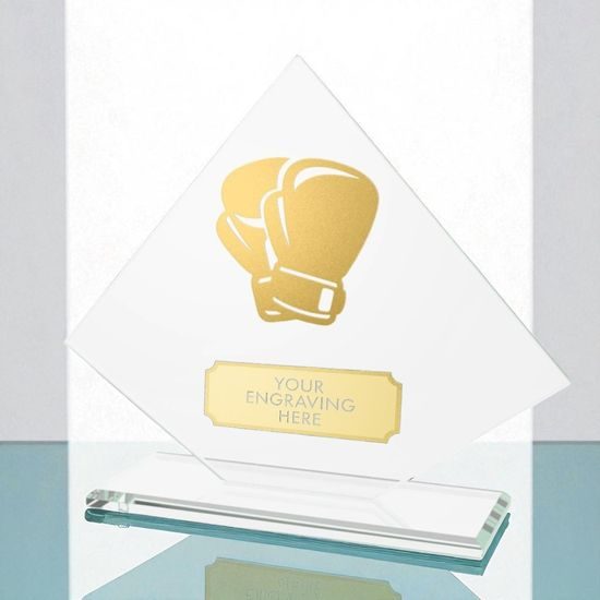 Vanguard Glass and Metal Fusion Boxing Trophy