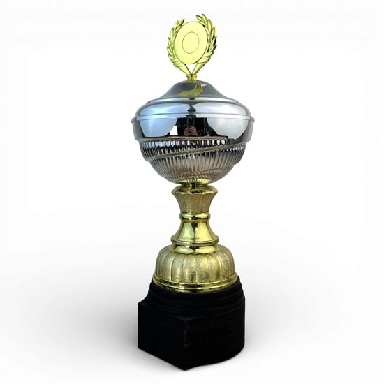 Ashford Silver & Gold Logo Cup