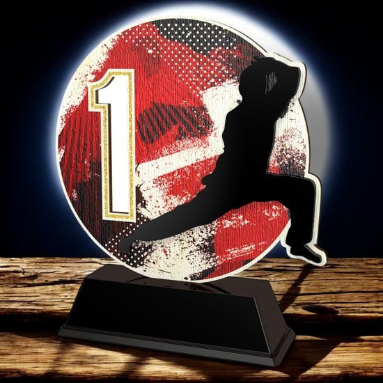 Eclipse Martial Arts Trophy