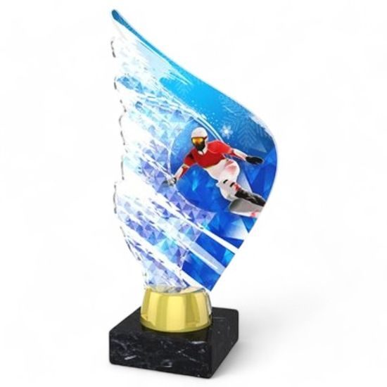 Foxton Snowboarding Trophy