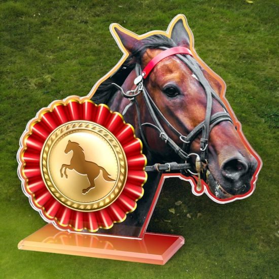 Cannes Horse Riding Trophy