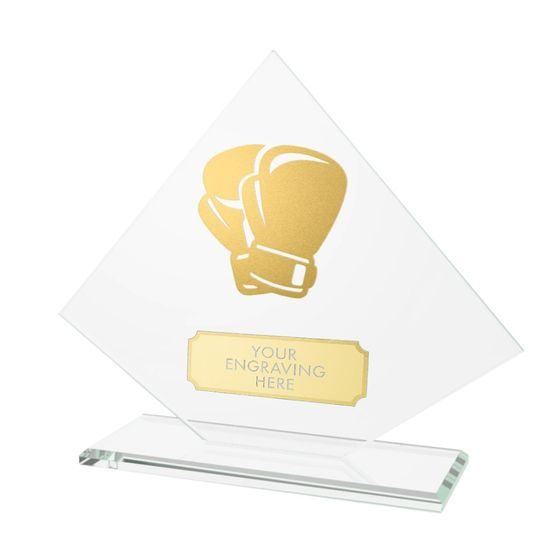 Vanguard Glass and Metal Fusion Boxing Trophy