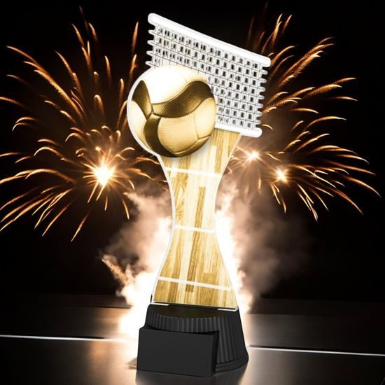 Classic Toronto Volleyball Trophy