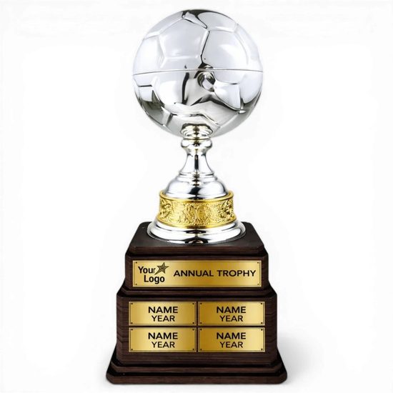 Arena Silver Metal Football Trophy