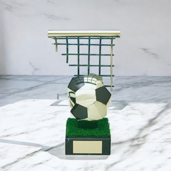 Oviedo Football Pitch Handmade Metal Trophy
