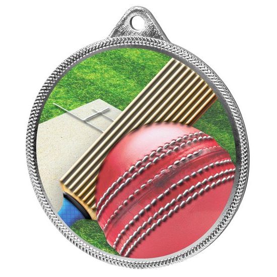 Cricket Colour Texture 3D Print Silver Medal