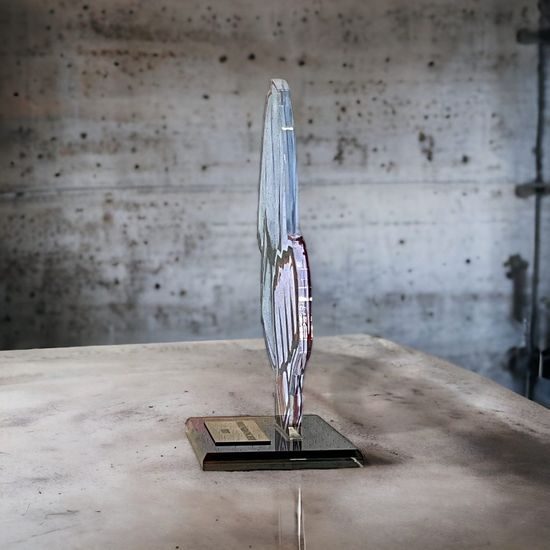 Cannes Martial Arts Trophy