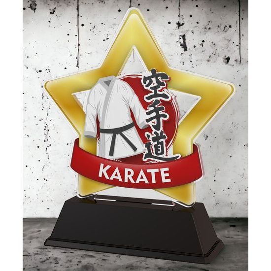 Mini Star Karate Trophy