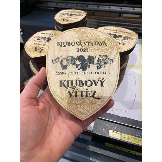 Hoplon Custom Made Real Wood Shield Award