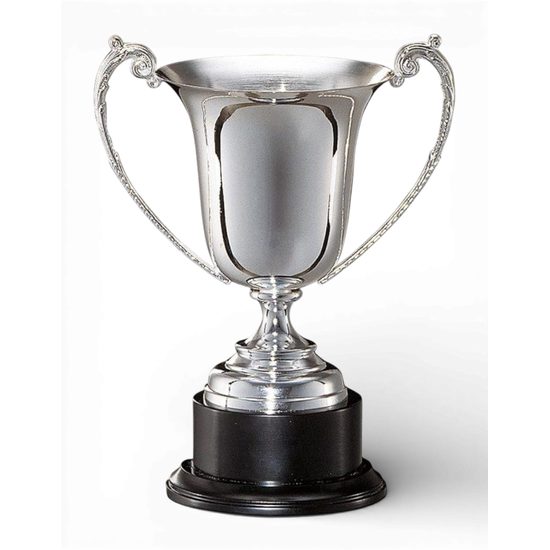 Sussex Silver Plated Cup