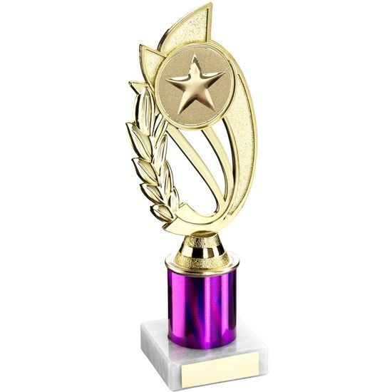 Purple Star Logo Insert Trophy