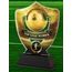 Club Colours Top Goal Scorer Shield Trophy