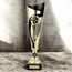 Champions Gold and Black Metal Football Trophy Cup