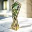 Apex Heavyweight Pike Fishing Trophy