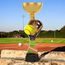Vancouver Softball and Glove Gold Cup Trophy