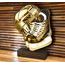 Sierra Classic Ice Hockey Helmet Real Wood Trophy
