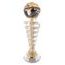 Soraya Metal & Ceramic Globe Award